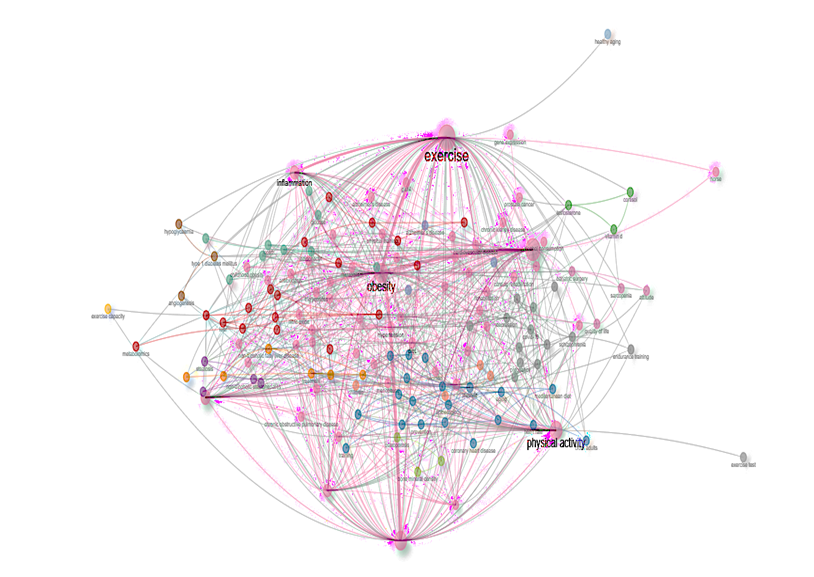 Gráfico, Diagrama, Gráfico de burbujas
Descripción generada automáticamente